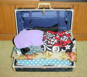 suitcaseinside